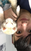 Ryan H., Pet Care Provider in Erie, PA with 8 years paid experience