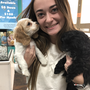Taylor D., Pet Care Provider in Spring Creek, NV with 2 years paid experience