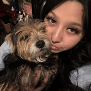 Alison R., Babysitter in Salt Lake City, UT with 3 years paid experience