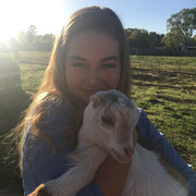 Angelina M. - Simpsonville Babysitter