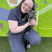 Rheanna A., Pet Care Provider in Dallas, TX with 3 years paid experience