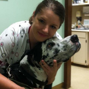 Stacey B., Pet Care Provider in Lynn Haven, FL 32444 with 15 years paid experience