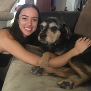 Lisa A., Pet Care Provider in Pembroke Pines, FL with 4 years paid experience