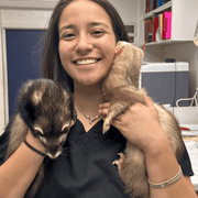 Rachel M., Pet Care Provider in Gainesville, FL with 8 years paid experience