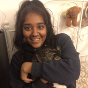 Simran K., Pet Care Provider in Flushing, NY with 11 years paid experience