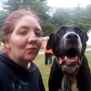 Denise H., Pet Care Provider in White Mills, PA with 10 years paid experience