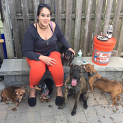 Danielle D., Pet Care Provider in South Amboy, NJ 08879 with 15 years paid experience