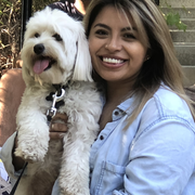 Denisse M., Pet Care Provider in Los Angeles, CA 90019 with 3 years paid experience