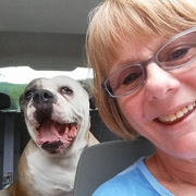Sandra B. - Allentown Pet Care Provider