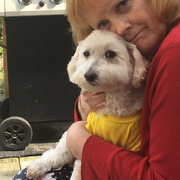 Nancy R., Pet Care Provider in Clifton Heights, PA 19018 with 1 year paid experience