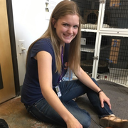 Sarah S., Pet Care Provider in Denver, CO 80222 with 1 year paid experience