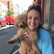 Katlyn N., Pet Care Provider in Cullowhee, NC with 3 years paid experience