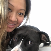 Sophia H., Pet Care Provider in New York, NY with 4 years paid experience