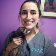 Haley H., Pet Care Provider in Birmingham, AL 35242 with 6 years paid experience