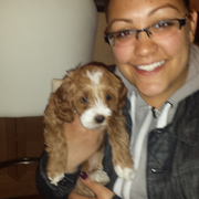 Kathrine C., Pet Care Provider in South Ozone Park, NY 11420 with 1 year paid experience