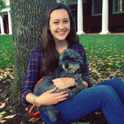 Sarah B., Pet Care Provider in Washington, DC with 5 years paid experience