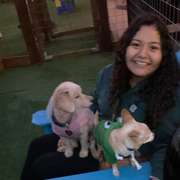 Breanna L., Pet Care Provider in Houston, TX with 4 years paid experience