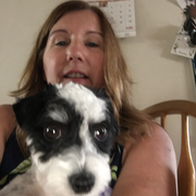 Darlene C., Pet Care Provider in Swansea, MA 02777 with 2 years paid experience