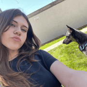 Samantha B., Babysitter in Escondido, CA with 5 years paid experience