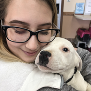 Corrin C. - Hagerstown Pet Care Provider