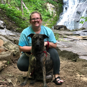 Breeana P., Pet Care Provider in Morristown, TN with 3 years paid experience