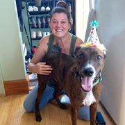 Sarah G., Pet Care Provider in Maynard, MA with 20 years paid experience