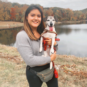Liz R., Pet Care Provider in Louisville, KY with 2 years paid experience
