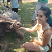 Amanda M., Babysitter in Arlington, NY with 15 years paid experience