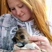 Shelby B., Pet Care Provider in Inkom, ID 83245 with 16 years paid experience