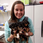 Lindsey M., Pet Care Provider in Columbus, OH with 12 years paid experience