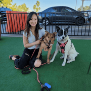 Jimin K., Pet Care Provider in Los Angeles, CA with 4 years paid experience