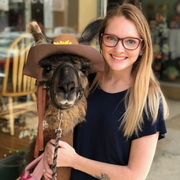 Ashley S., Babysitter in Blountville, TN with 4 years paid experience