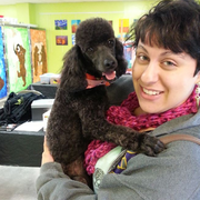Carly M., Pet Care Provider in New Bern, NC 28560 with 5 years paid experience