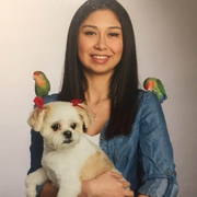 Maria V., Nanny in Chicago, IL with 0 years paid experience