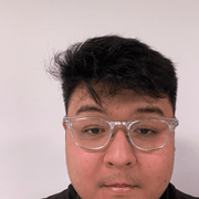 Ryan V., Babysitter in Port Chester, NY with 0 years paid experience