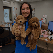 Kailee L., Pet Care Provider in The Colony, TX with 10 years paid experience