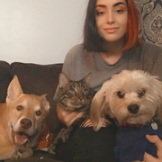 Abby K., Pet Care Provider in Palm Bay, FL with 2 years paid experience
