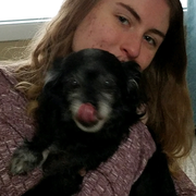 Katy B. - East Longmeadow Pet Care Provider