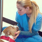 Megan B., Pet Care Provider in Morrisville, PA 19067 with 3 years paid experience