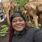 Erica P., Pet Care Provider in Brooklyn, NY with 3 years paid experience