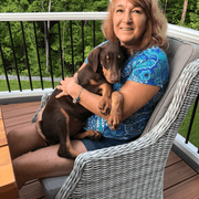 Patricia R., Pet Care Provider in Schenectady, NY with 30 years paid experience