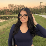 Diana S., Babysitter in 34655 with 2 years of paid experience