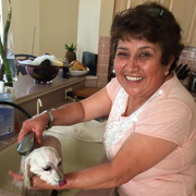 Irma J., Nanny in Weston, FL with 30 years paid experience