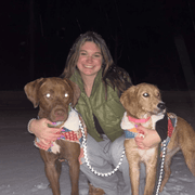 Aled W., Babysitter in Centerville, FL 32309 with 2 years of paid experience