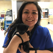 Rocio V., Pet Care Provider in Houston, TX 77080 with 8 years paid experience