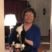 Judy B., Pet Care Provider in Florham Park, NJ 07932 with 1 year paid experience