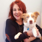Laura P., Pet Care Provider in Aurora, OH 44202 with 1 year paid experience