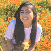Addi R., Babysitter in Reseda, CA with 3 years paid experience