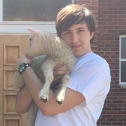 Andrew H. - Lynnfield Babysitter