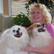 Dolores (dee) C., Pet Care Provider in Elizabeth, NJ 07208 with 20 years paid experience